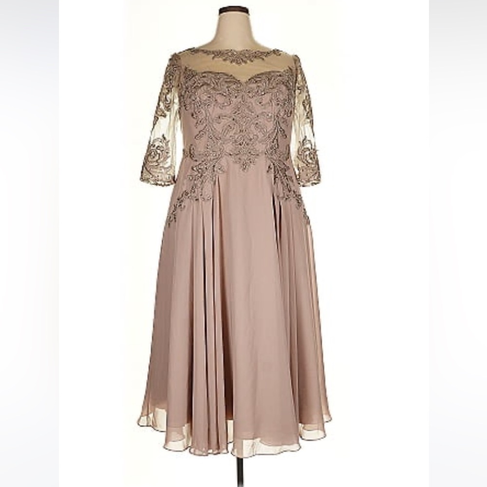 Elegant Lace Embellished Formal Dress